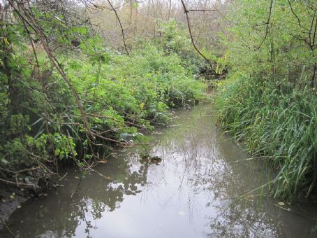 Deans Brook