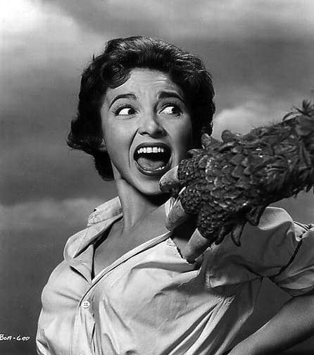 The Alligator People Beverly Garland Famousfix