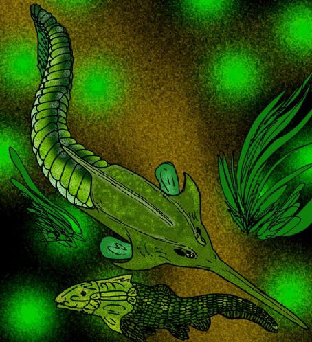 Pituriaspis