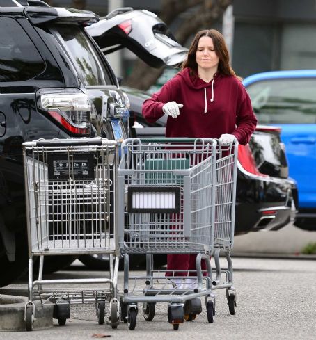 Sophia Bush – Shopping at whole foods in Los Angeles