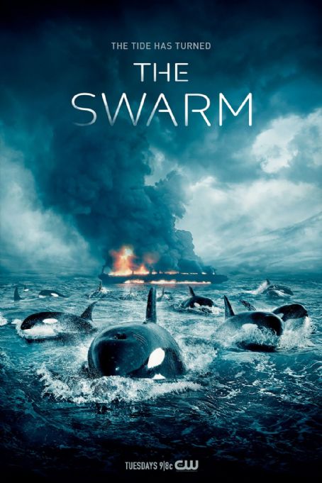 The Swarm