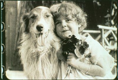 Shep the Dog