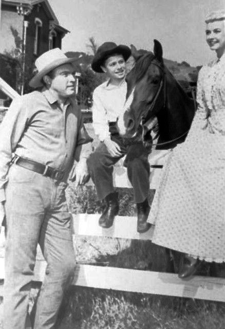 My Friend Flicka (1955) Cast And Crew, Trivia, Quotes, Photos, News And ...