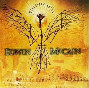 Edwin McCain - Misguided Roses
