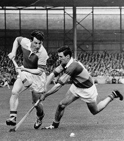 Len Gaynor
