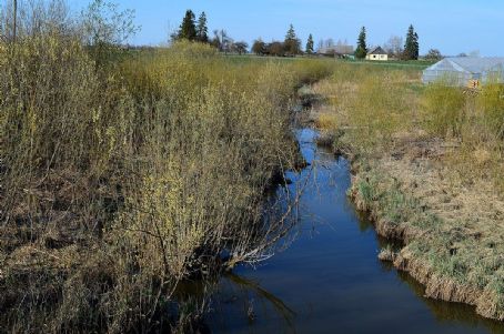 Upytė (river in Kėdainiai District Municipality)