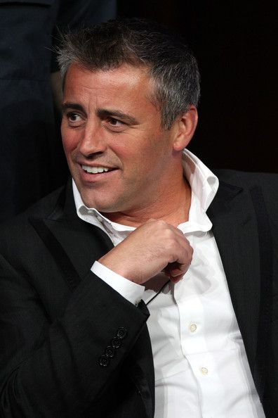 'Episodes' press conference