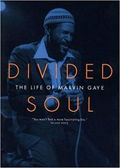 Divided Soul