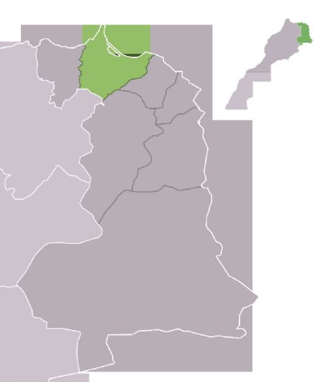 Nador Province