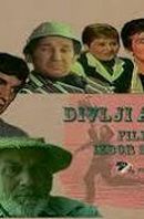 Divlji andjeli