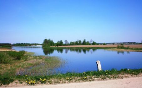 Piltyna