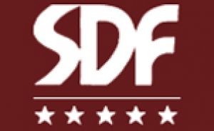 Serb Democratic Forum