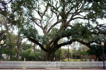 Hammond, Louisiana