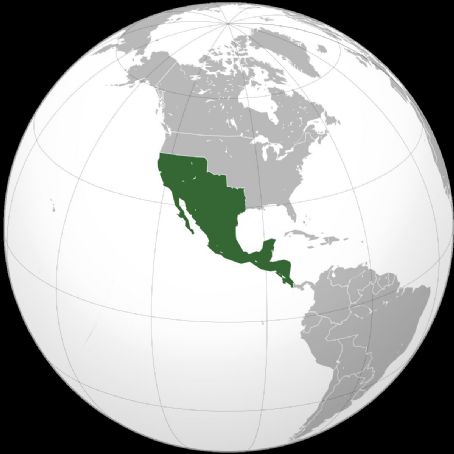 Solemn Act of the Declaration of Independence of Northern America