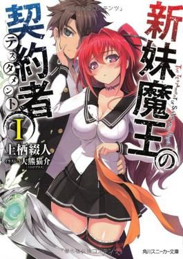 The Testament of Sister New Devil