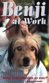 Benji at Work