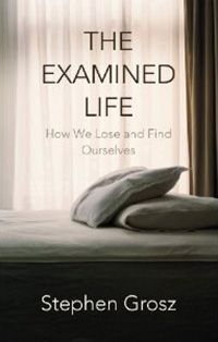 The Examined Life (Stephen Grosz book)
