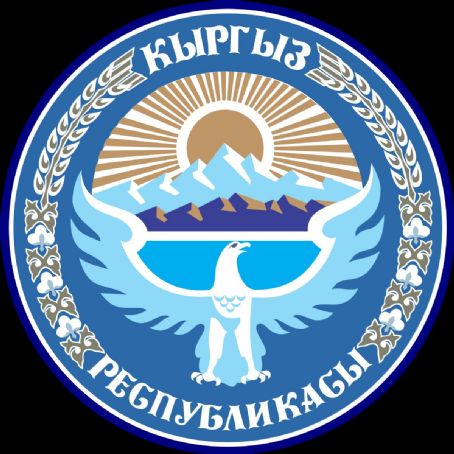 Vice President of Kyrgyzstan