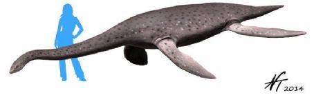 List of Early Cretaceous plesiosaurs - FamousFix List