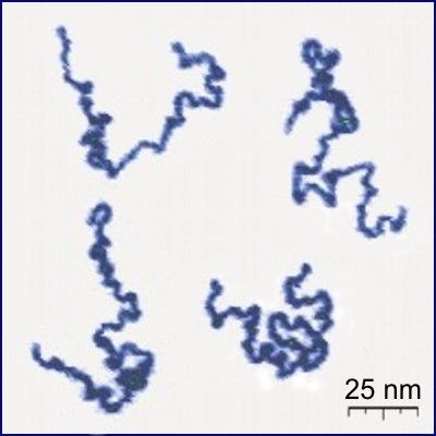 Polymer