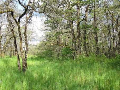 Scatter Creek Unit