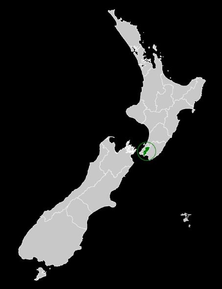 Hutt Valley District Health Board