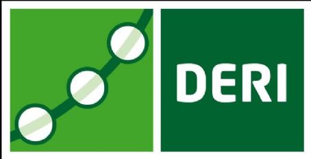 Digital Enterprise Research Institute