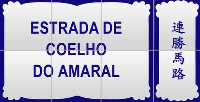 José Rodrigues Coelho do Amaral