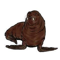 List of Prehistoric pinnipeds of North America - FamousFix List