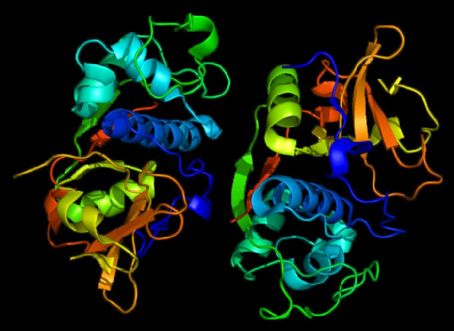 Cathepsin F
