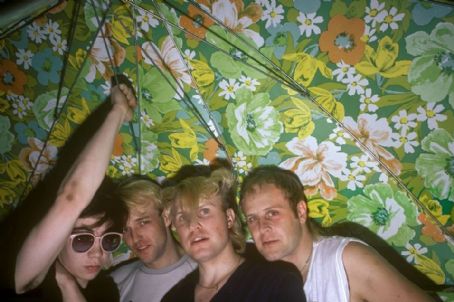 A Flock of Seagulls